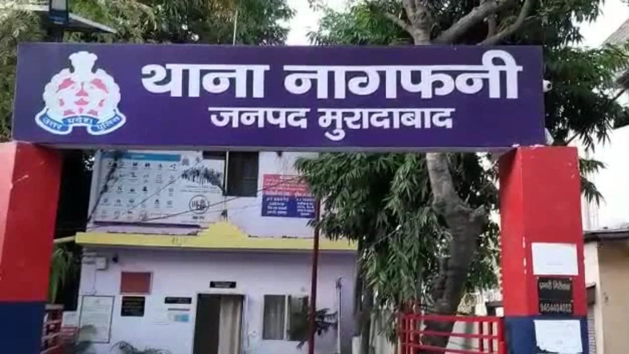 वाईबीएन 