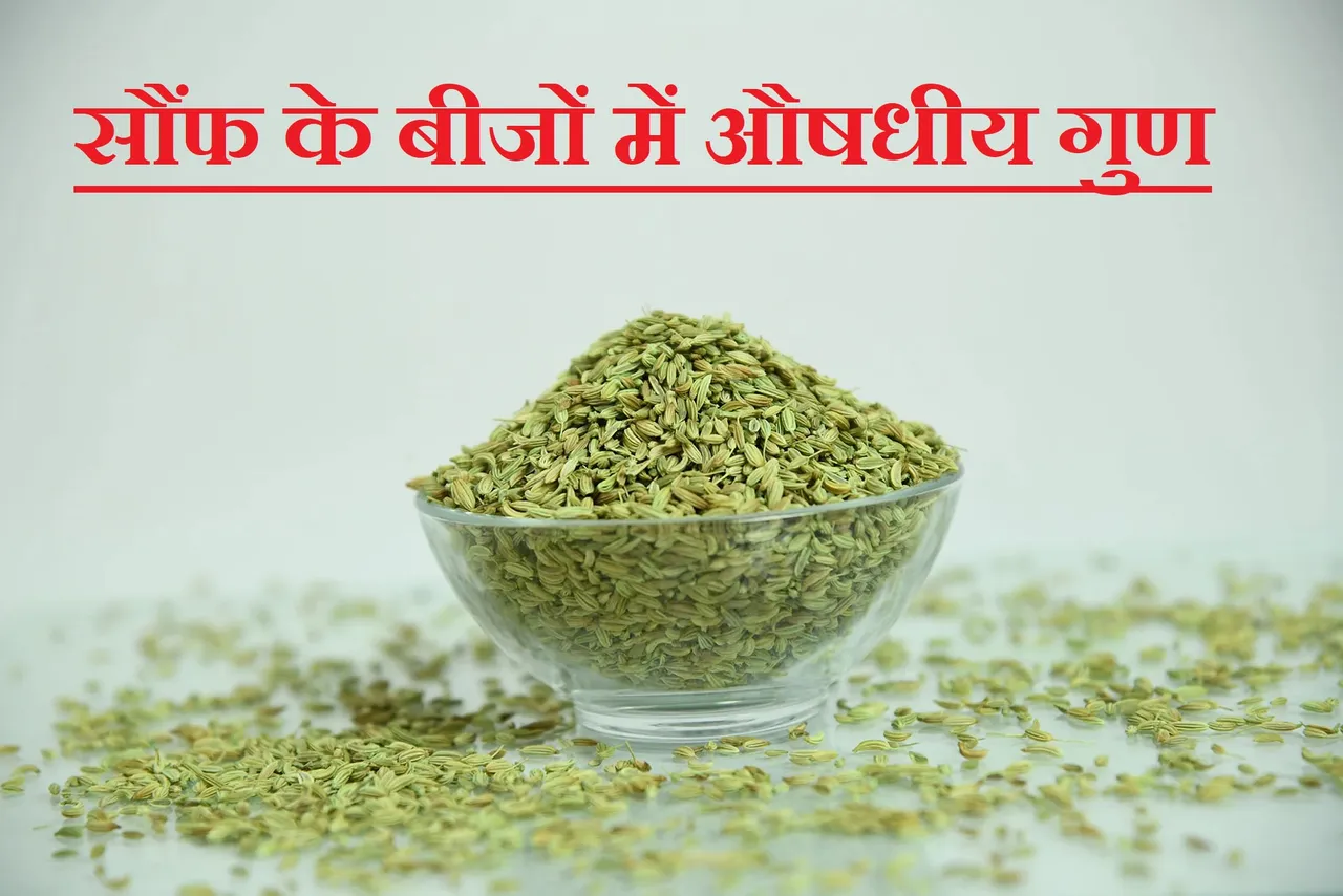 Fennel seeds
