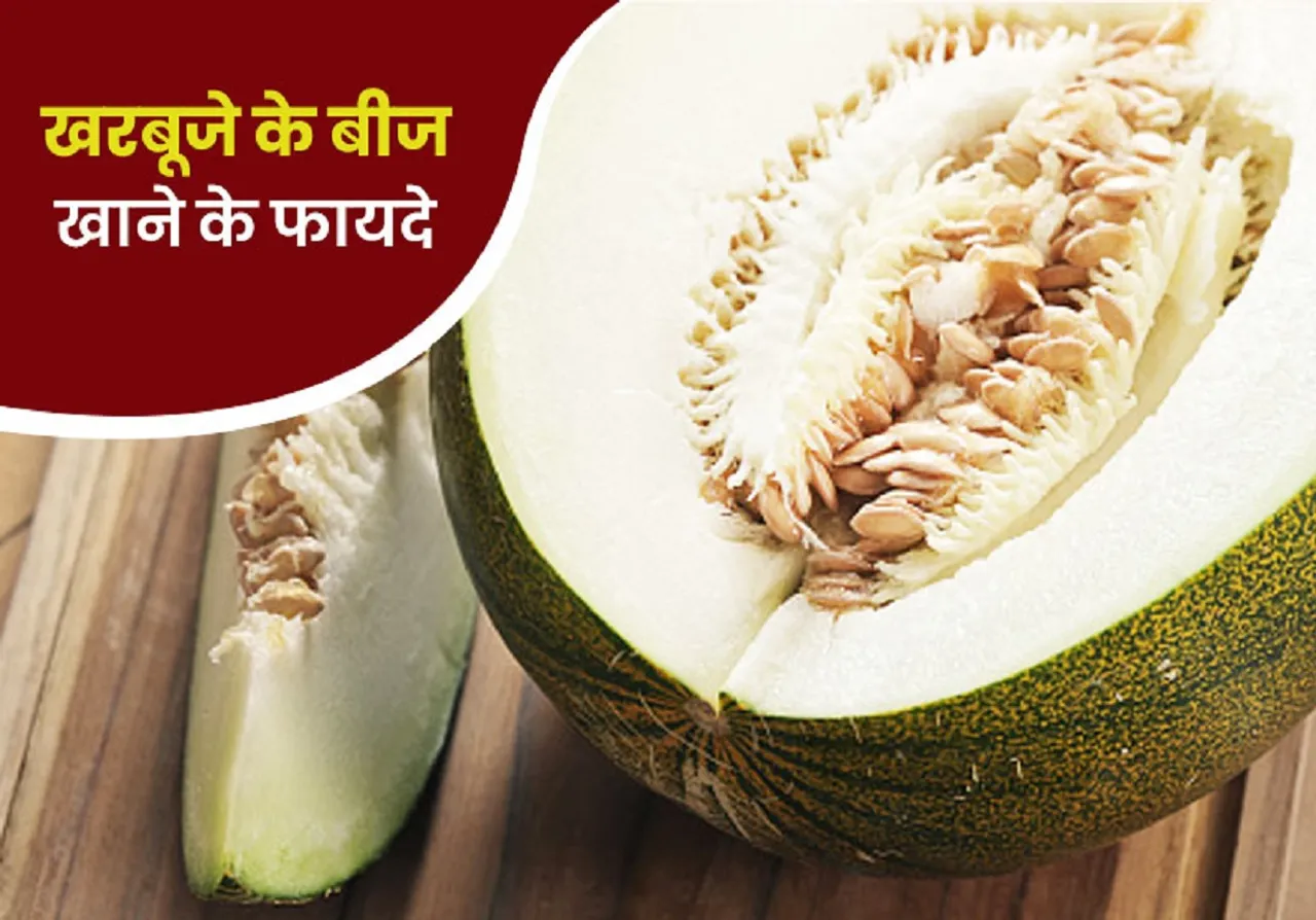 Melon Seeds