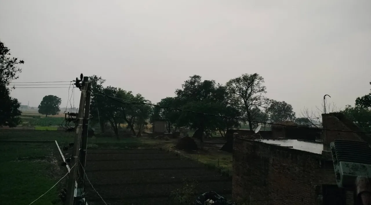 फोटो 