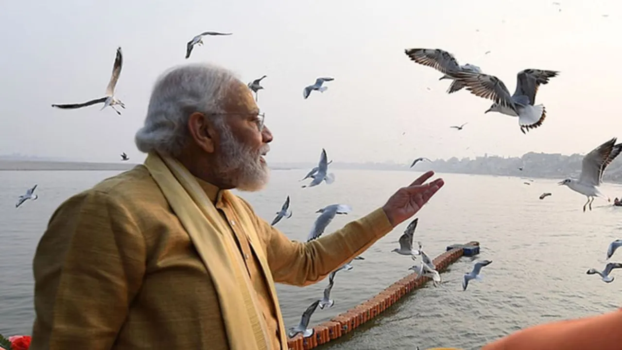 News Gallery