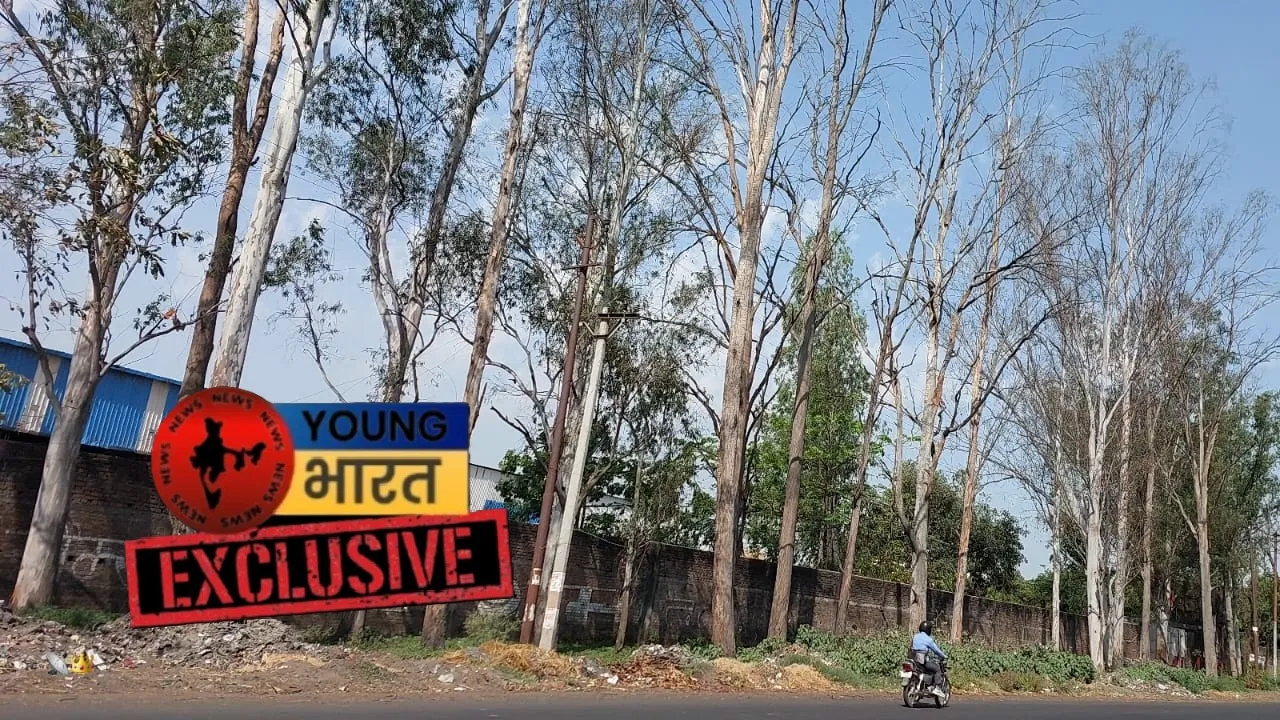 ीरर
