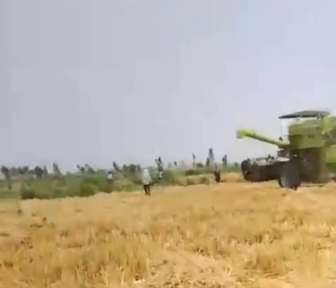 फसल पर चला हथियार