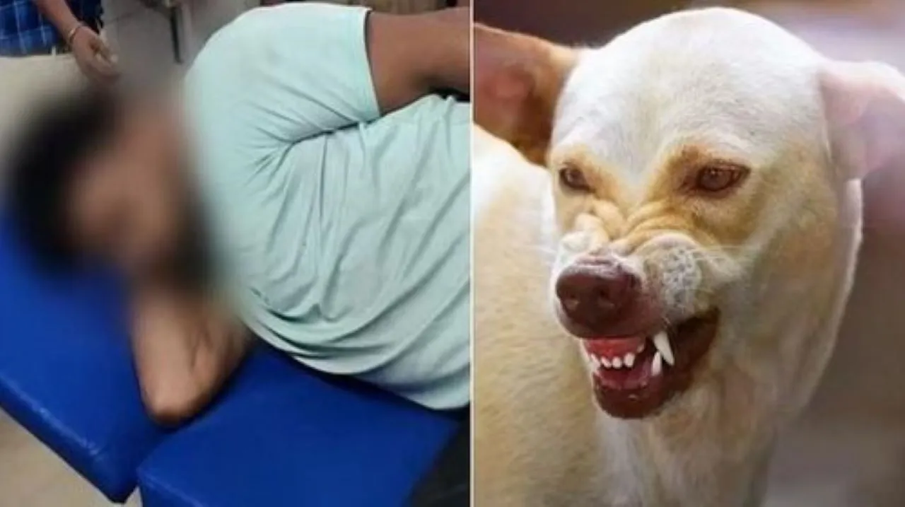 वाईबीएन