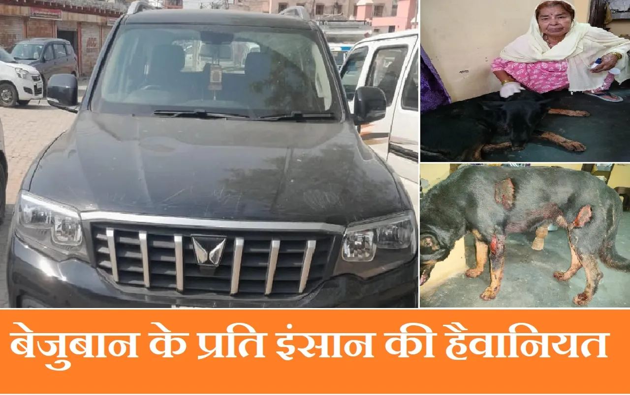 बेजुबान के प्रति इंसान की दिखी 