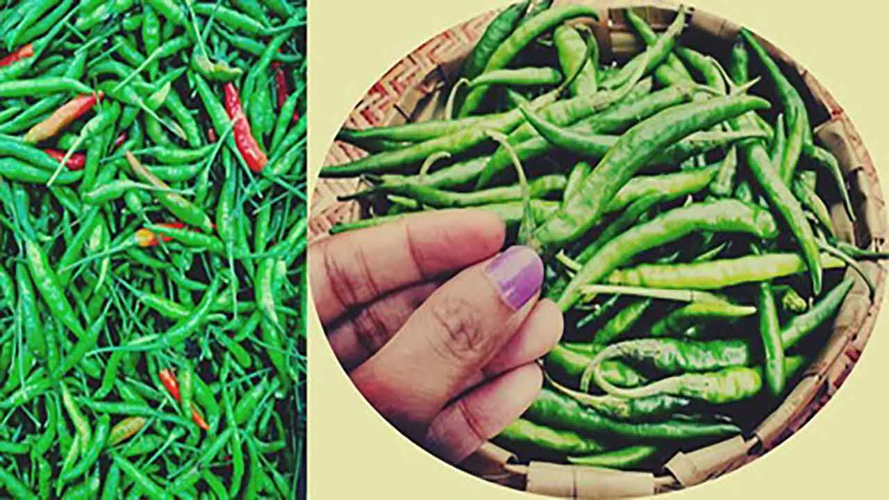 Greenchillies