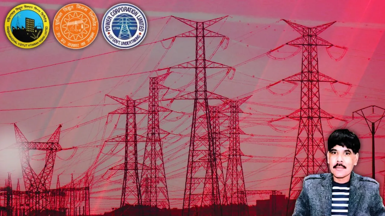 Electricity Privatisation grant  Grant Thornton