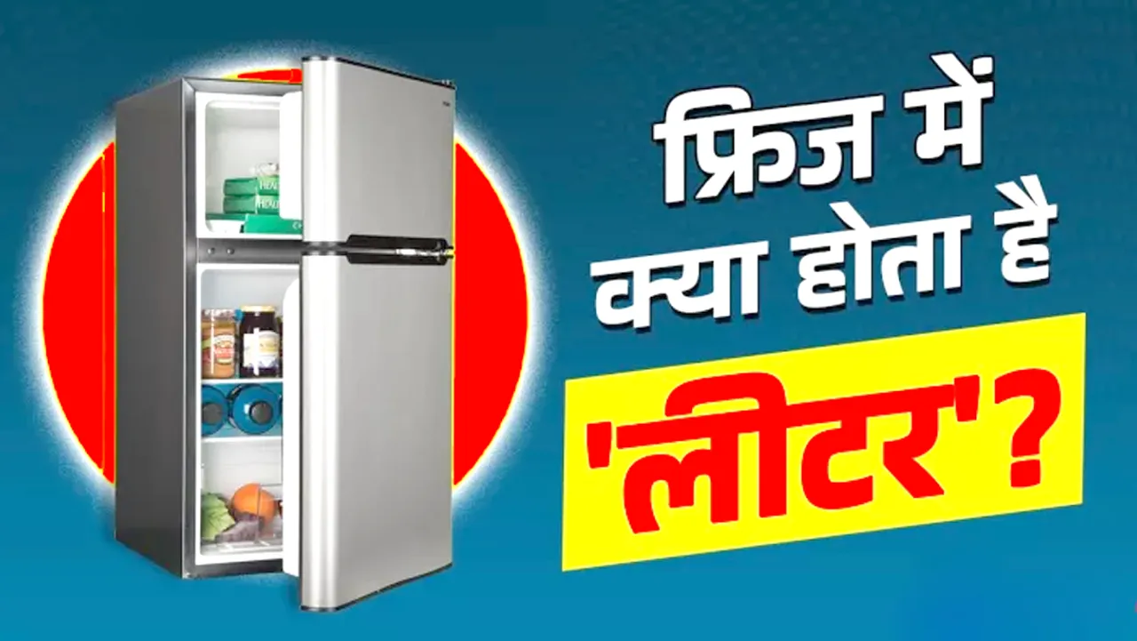 FREEDGE HINDI NEWS
