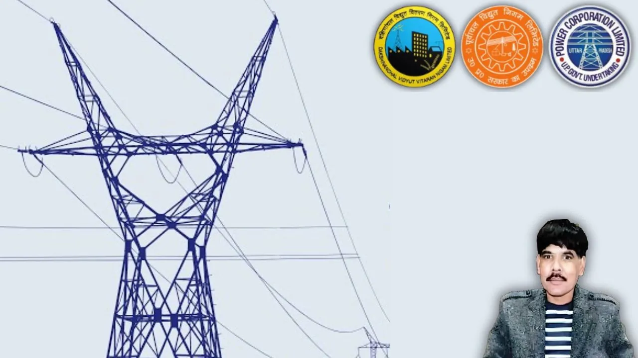 electricity privatisation avadhesh verma