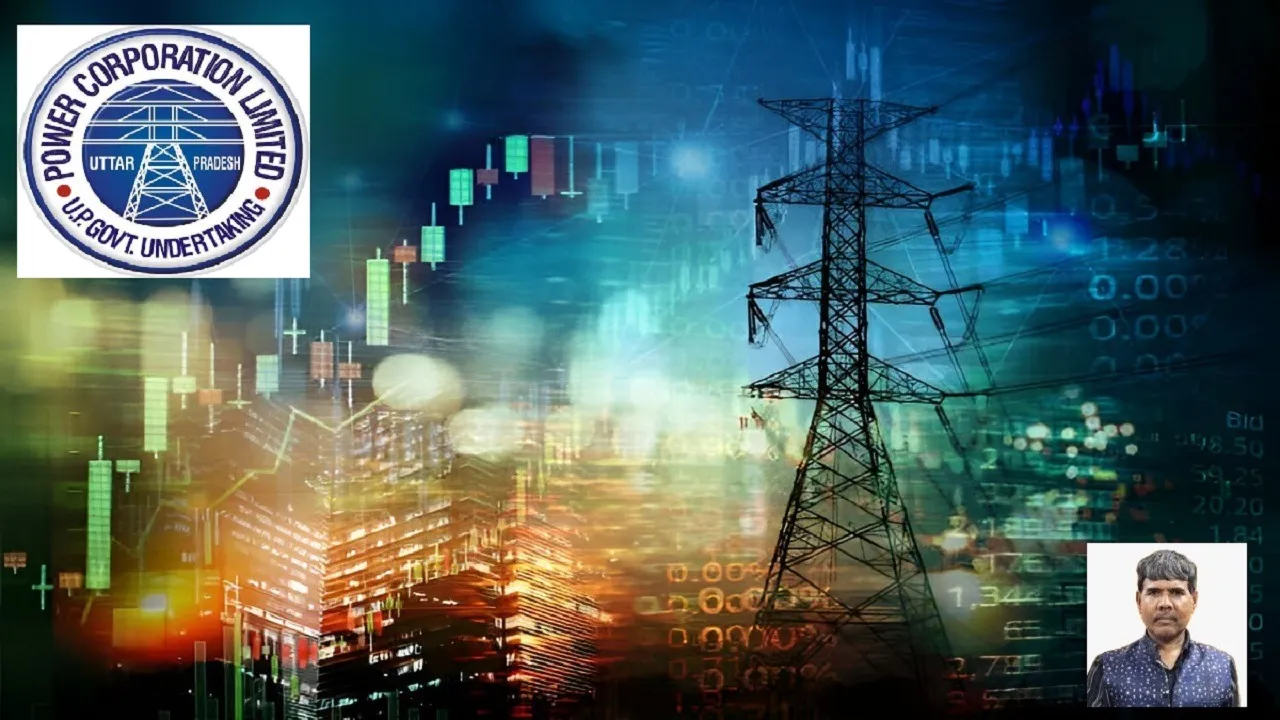 electricity privatisaton