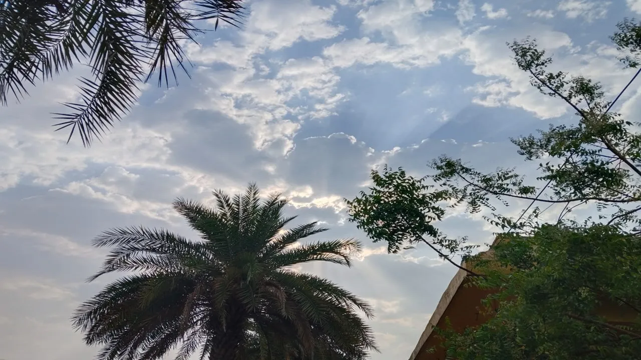 Lucknow Weather Forecast 