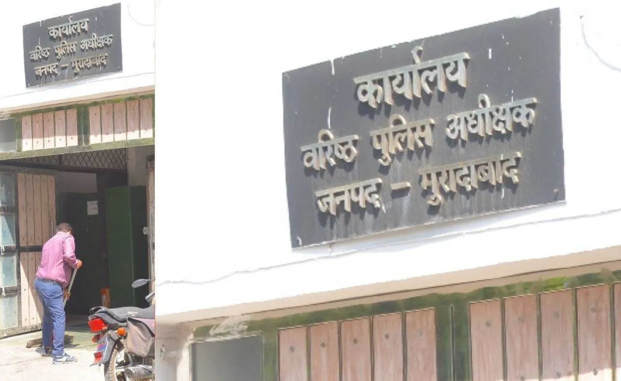 वाईबीएन