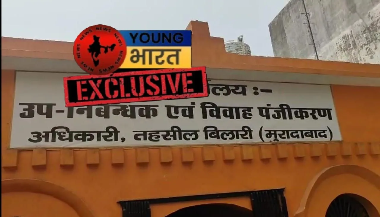 वाईबीएन 
