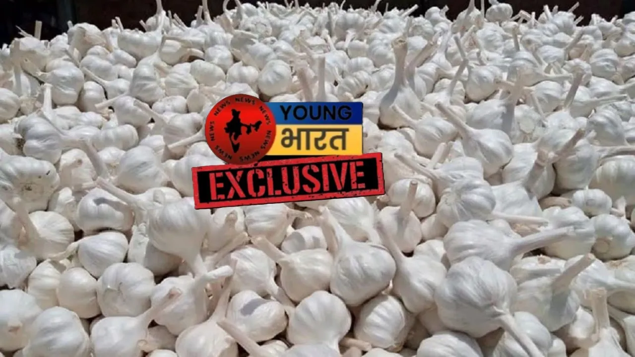 हीहीी