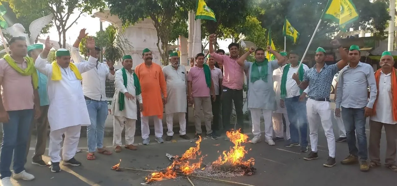 वाईबीएन