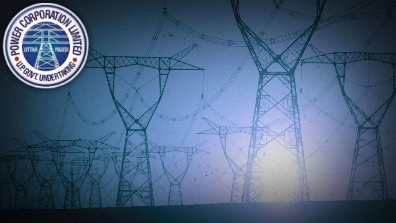 electricity privatiSation Grant Thornton 