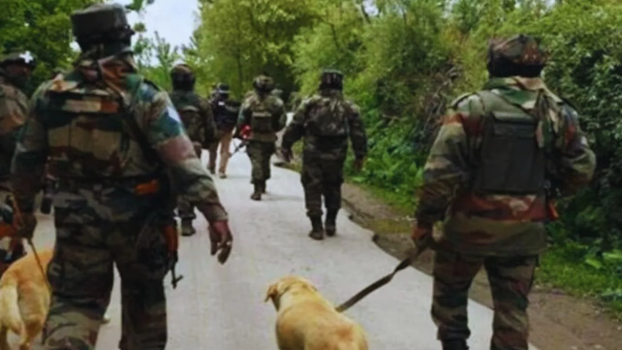 search operation