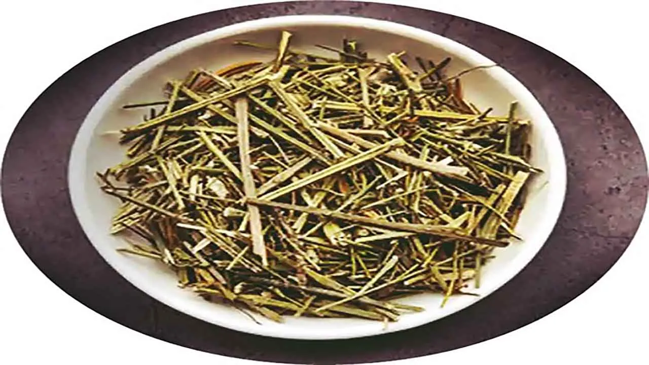 chiraita