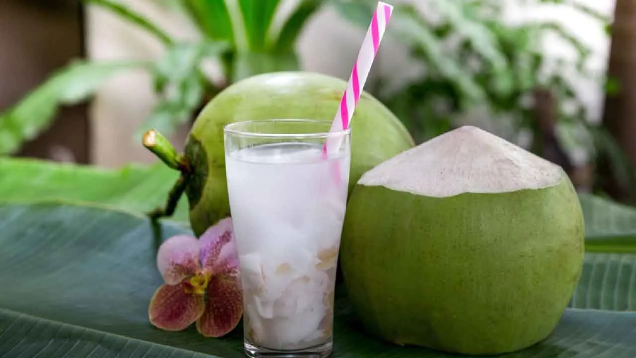 Coconutwaters