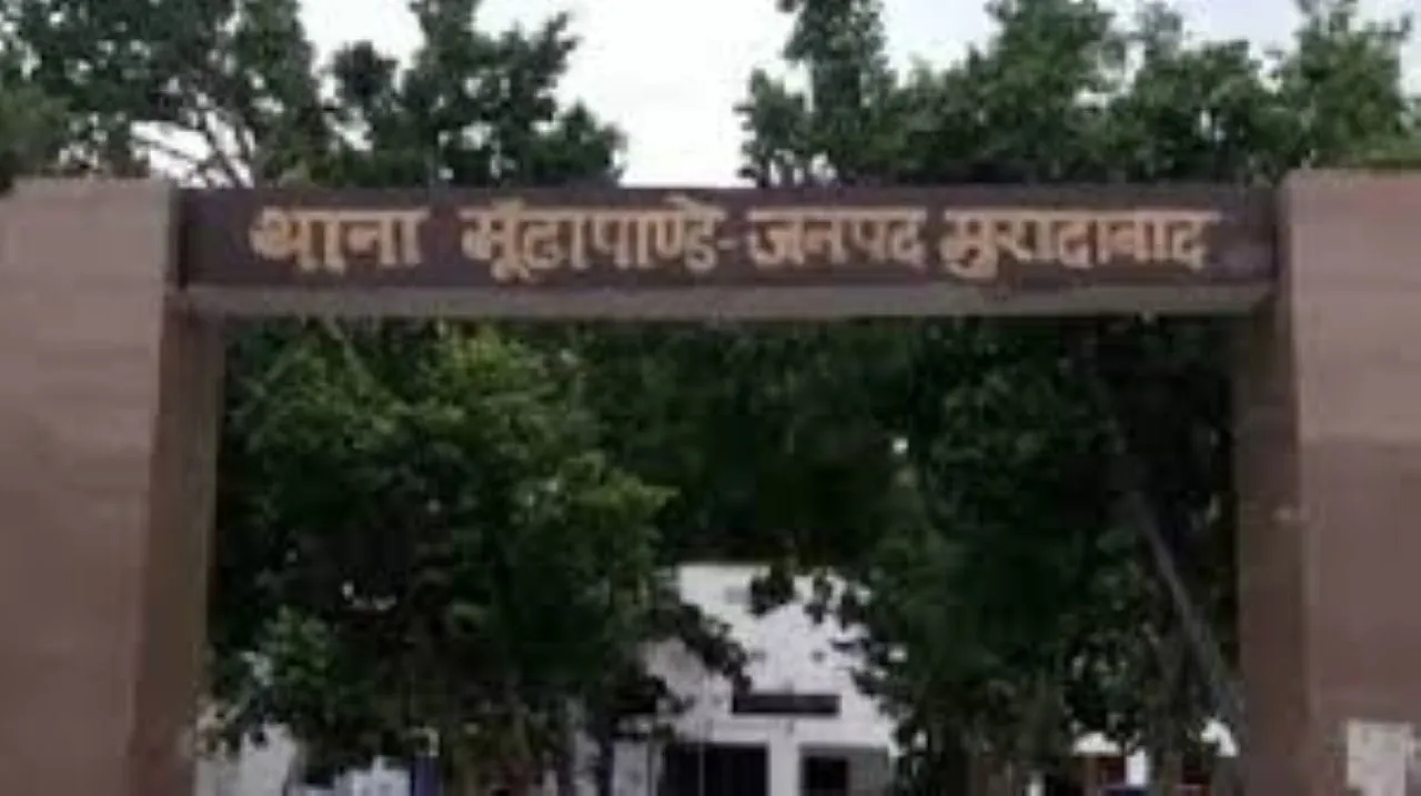वाईबीएन 