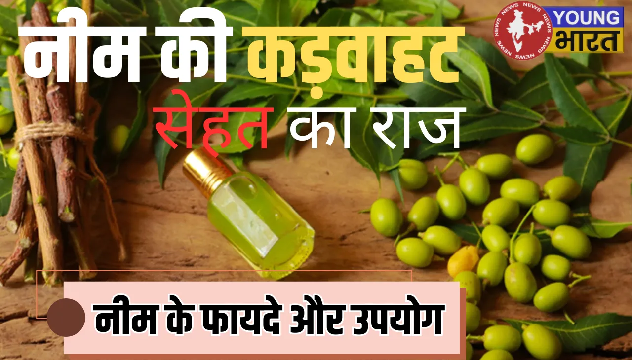 Neem ke Fayde