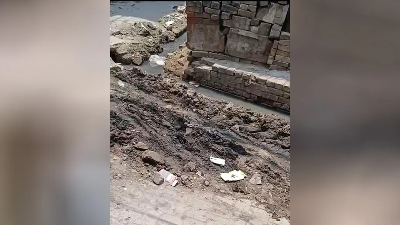 News Gallery