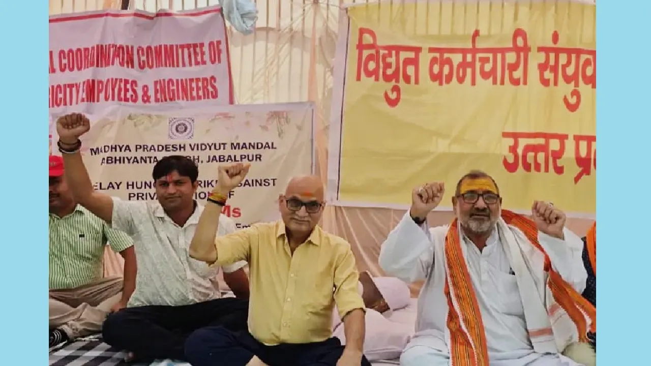 Electricity Privatisation