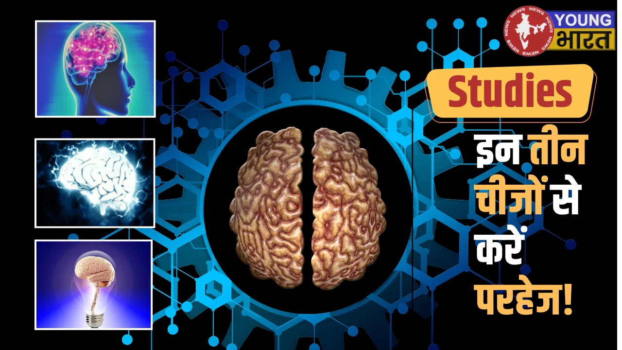 Brain Studies