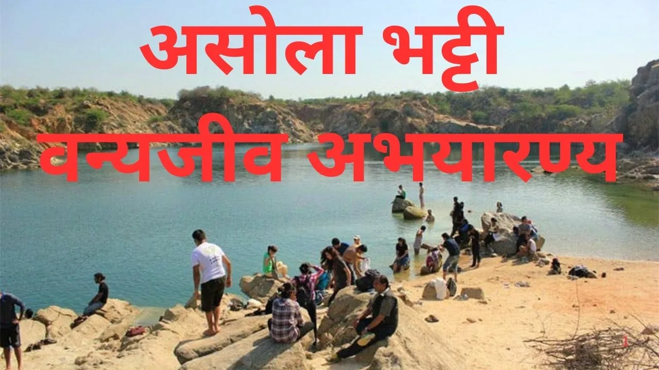 अच्छी खबर: Asola Bhatti Wildlife Sanctuary में पांच करोड़ लीटर जल संचयन, NGT में सौंपी गई रिपोर्ट