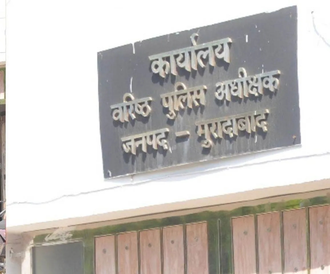 वाईबीएन
