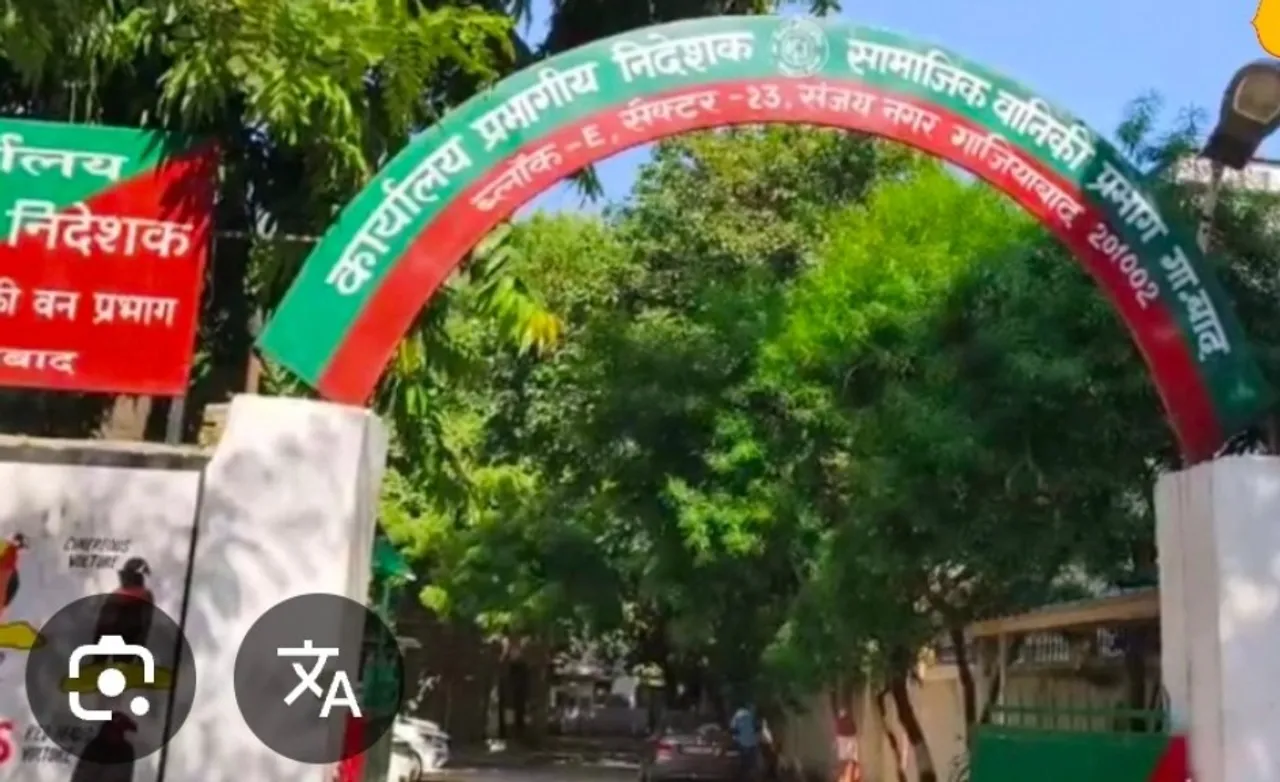 फॉरेस्ट