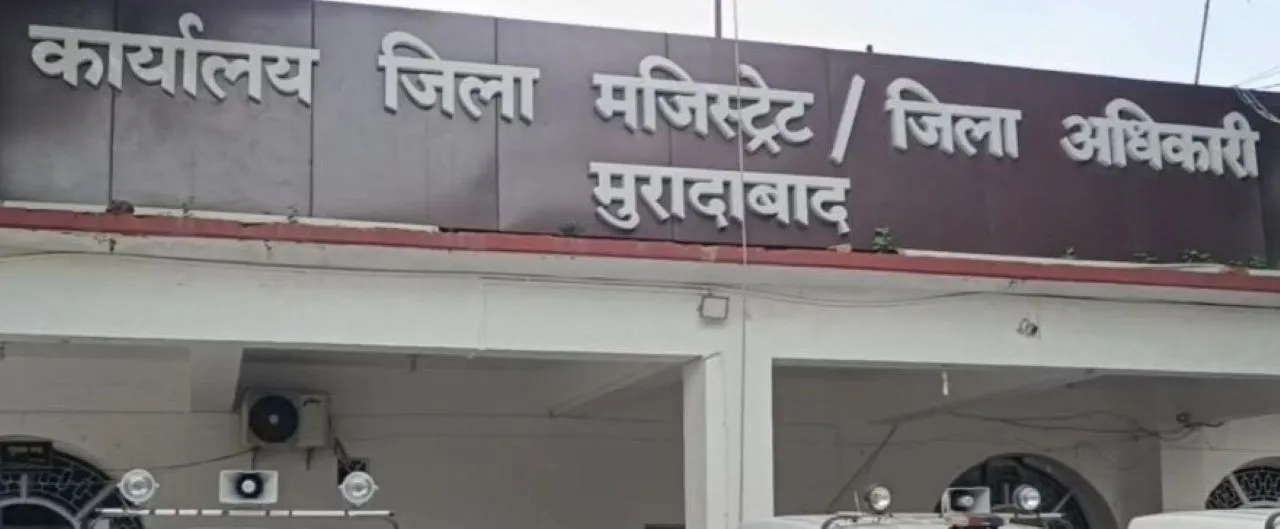 वाईबीएन 