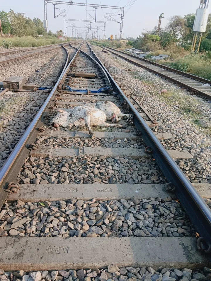 शाहजहांपुर 