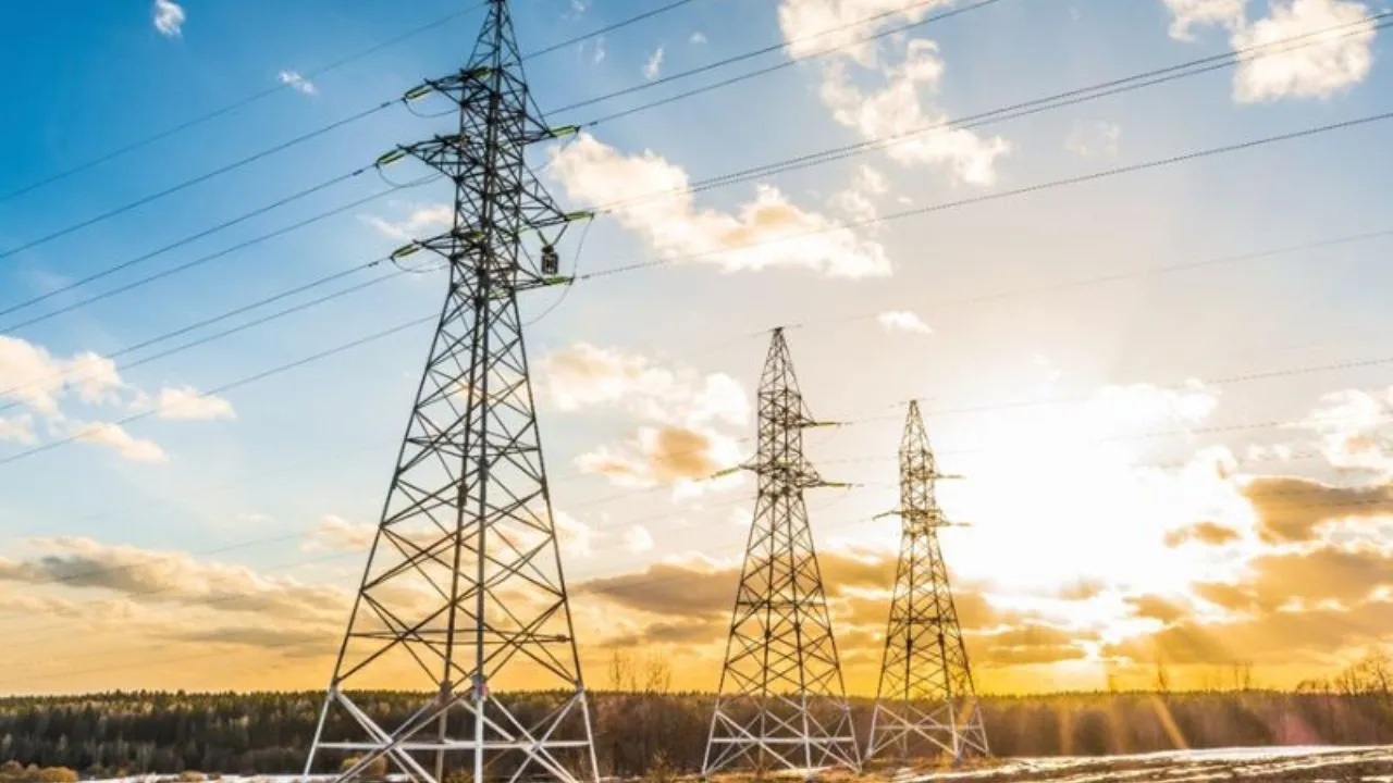 electricity privatisation 