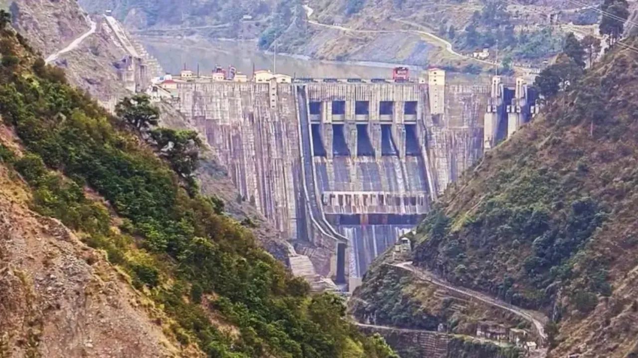 virat kohali 10 (6)