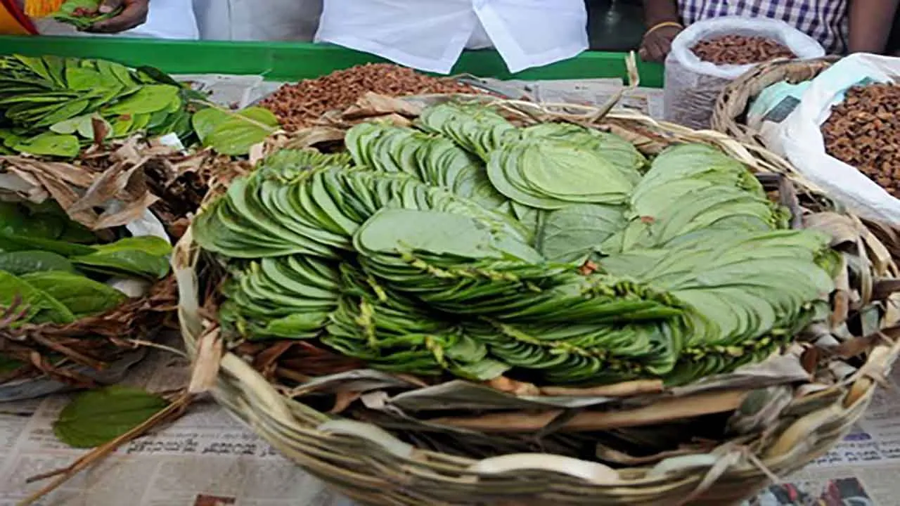 PAAN