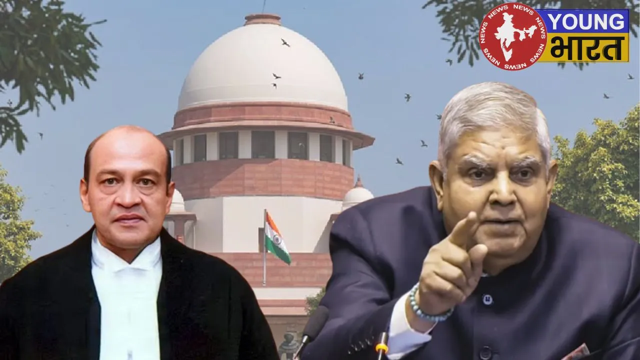 Court vs Dankhad