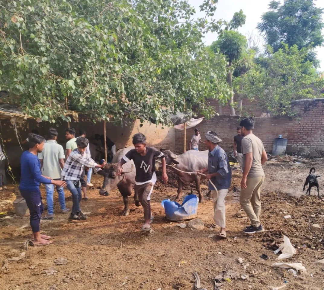 नगर निगम की टीम कार्रवाई करते hue