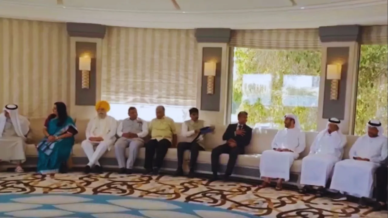 UAE, All party delegation,