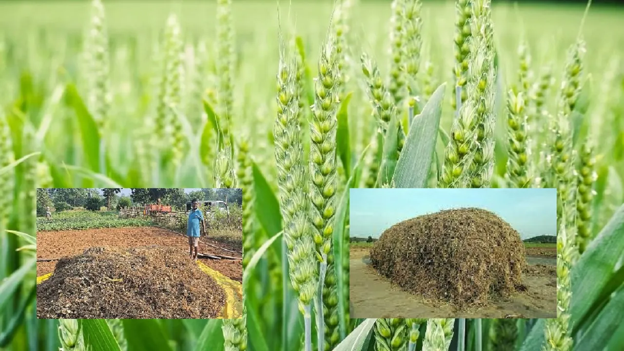 UP farmers make land fertile