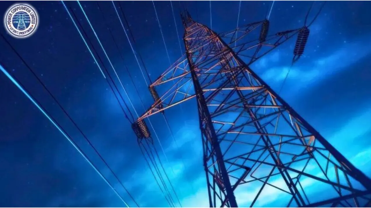 electricity privatisation director