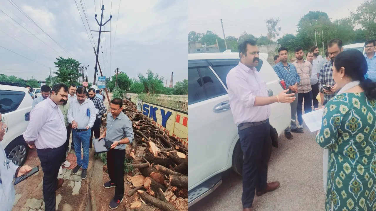 lda news