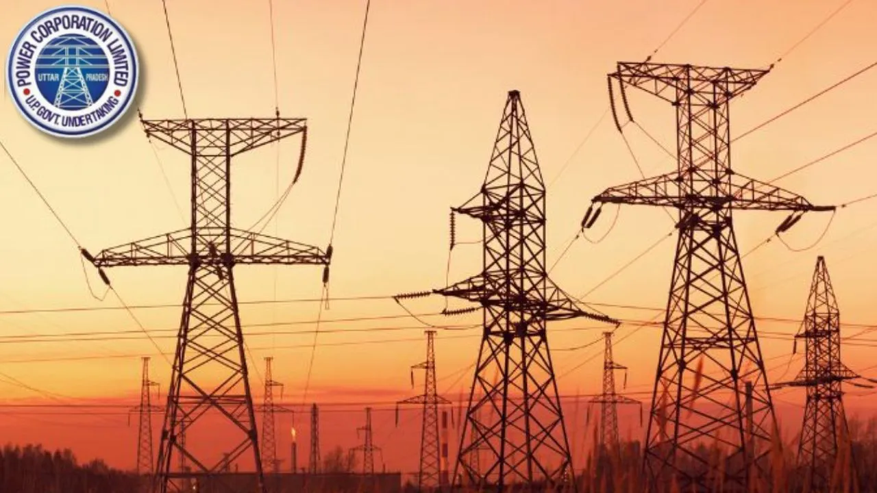 Electricity Employees Dismissal