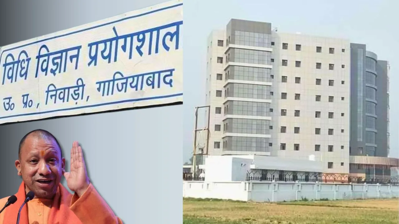 अपराधियों को सजा