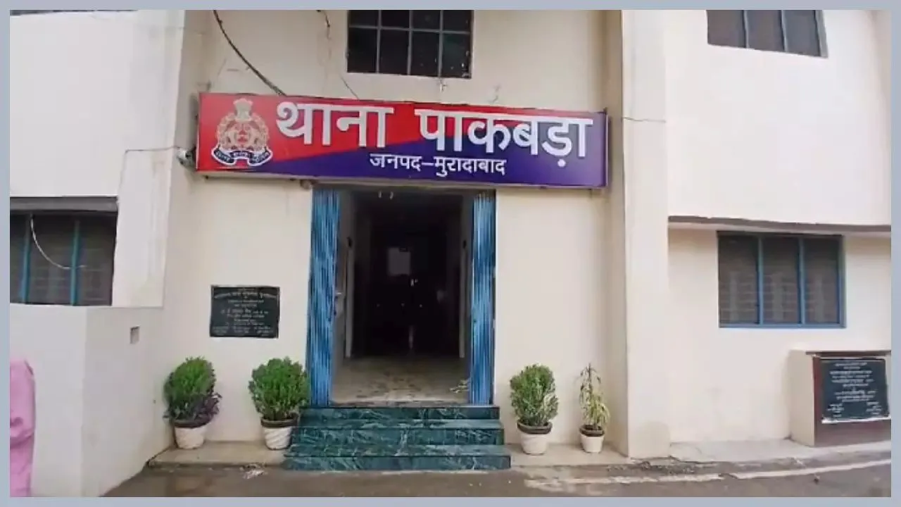 वाईबीएन 