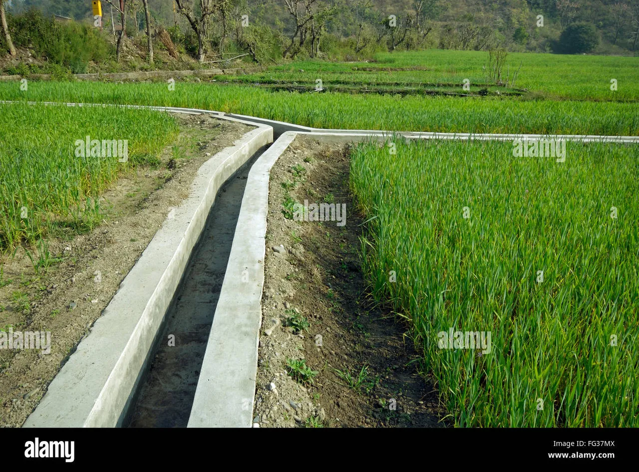 canal-d-eau-pour-l-irrigation-dans-une-ferme-de-ble-dehra-dun-dehradun-uttarenchal-uttarakhand-inde-asie-fg37mx