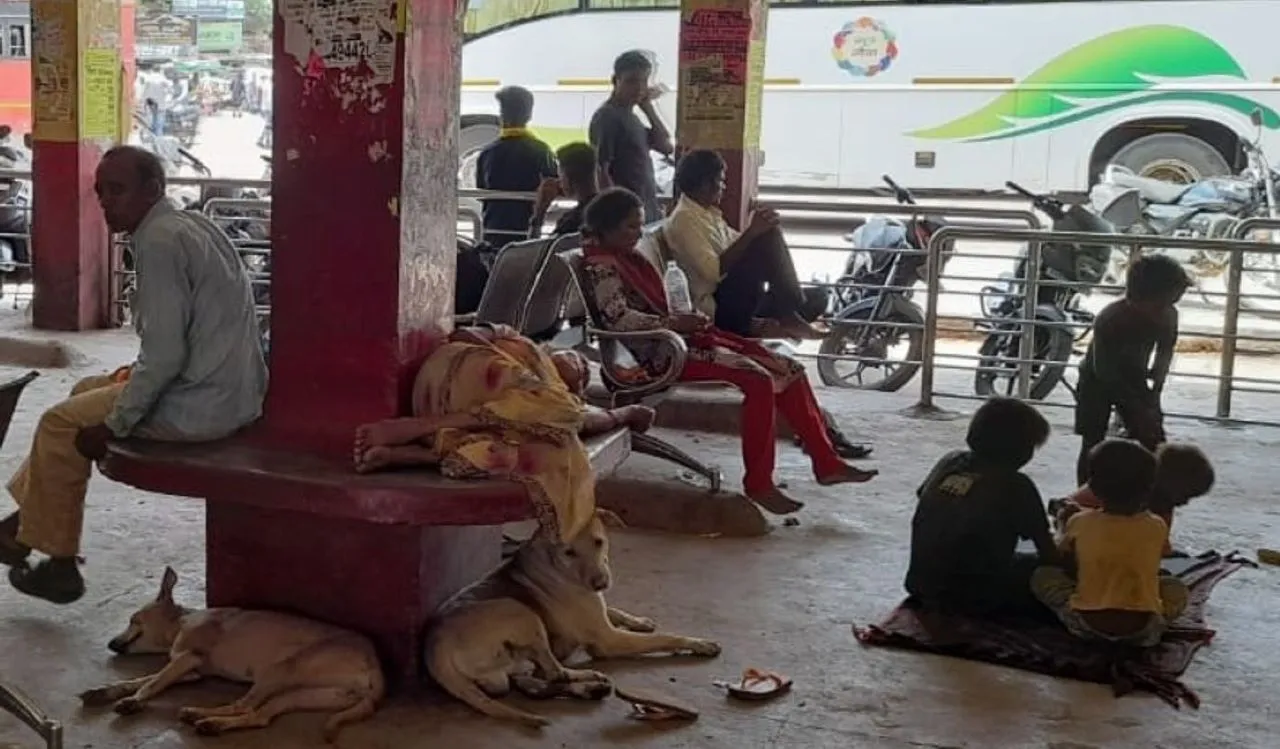 वाईबीएन