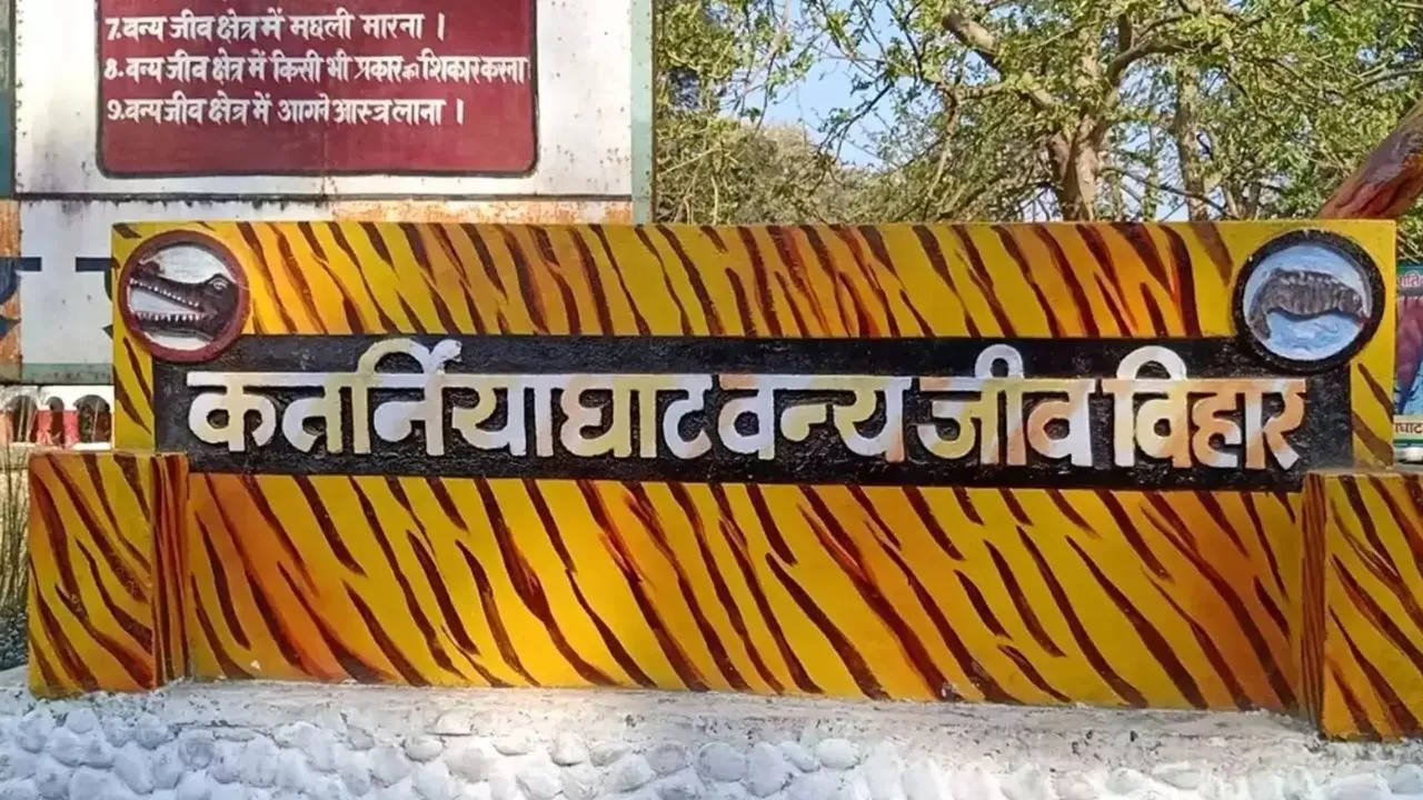 वन विभाग