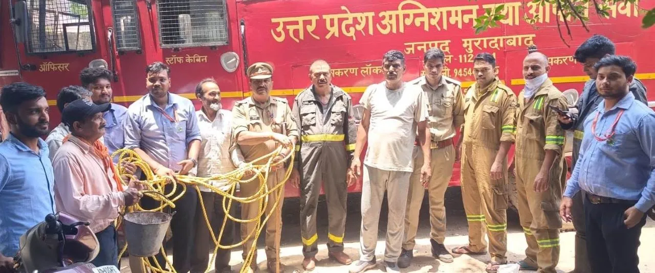 वाईबीएन
