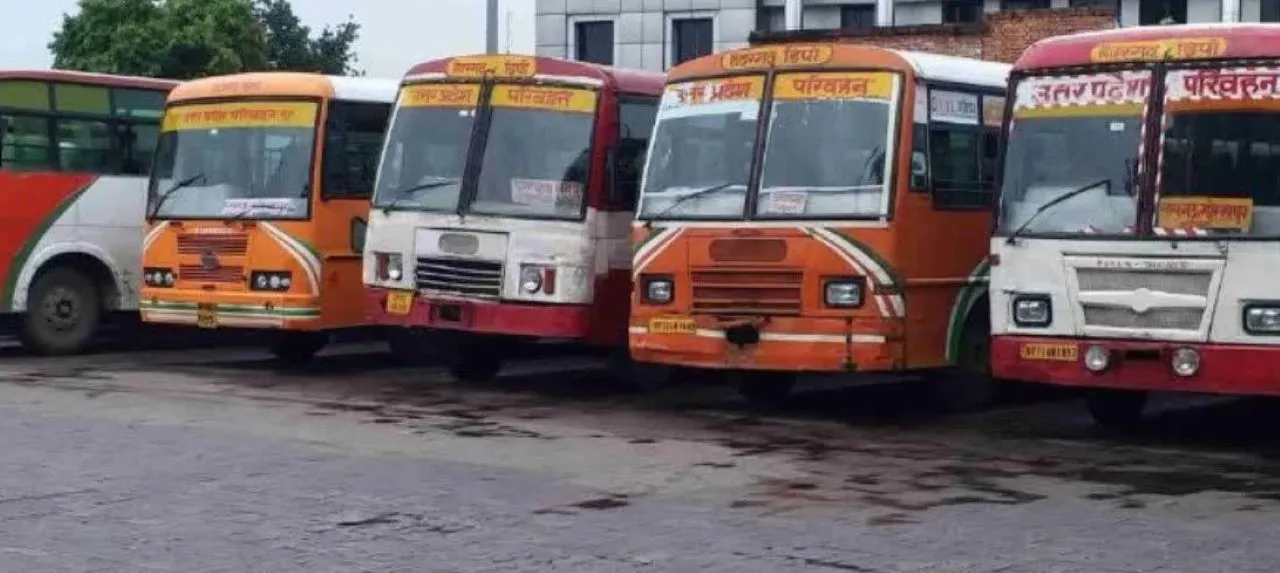 वाईबीएन